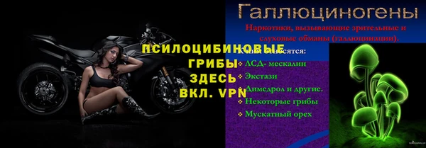 мдма Заводоуковск