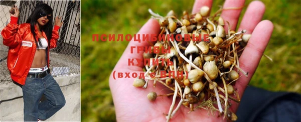 мдма Заводоуковск