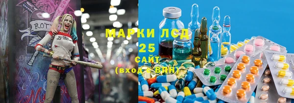 МДПВ Шали