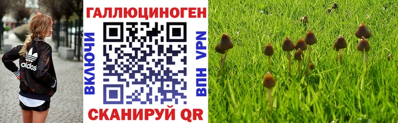 Галлюциногенные грибы MAGIC MUSHROOMS  Сретенск 